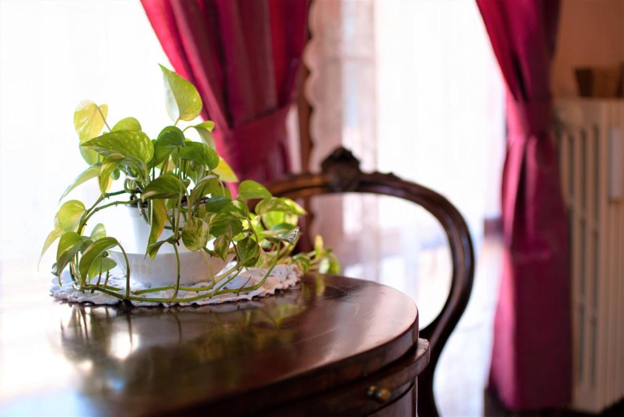 Casa Torresino Hotel Padova Luaran gambar